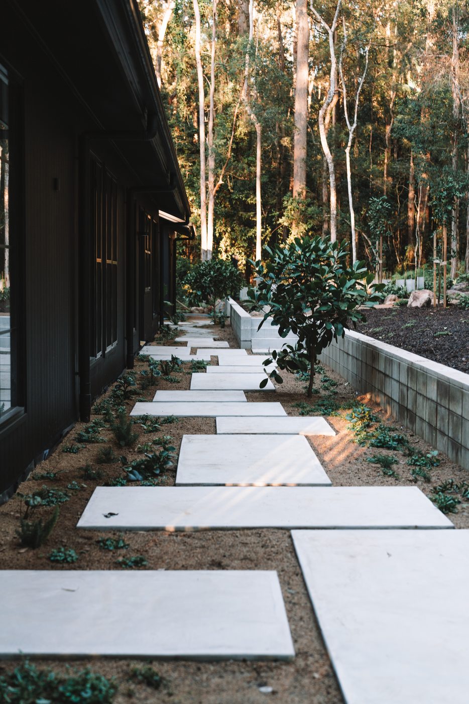 Finished driveway curving past the shed with a rock-edged garden bed