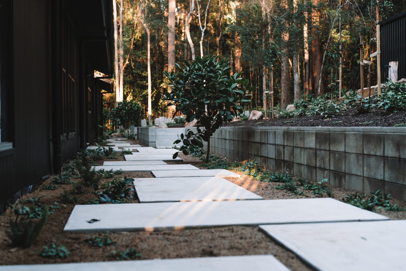 Concrete steppers running beside a black clad home