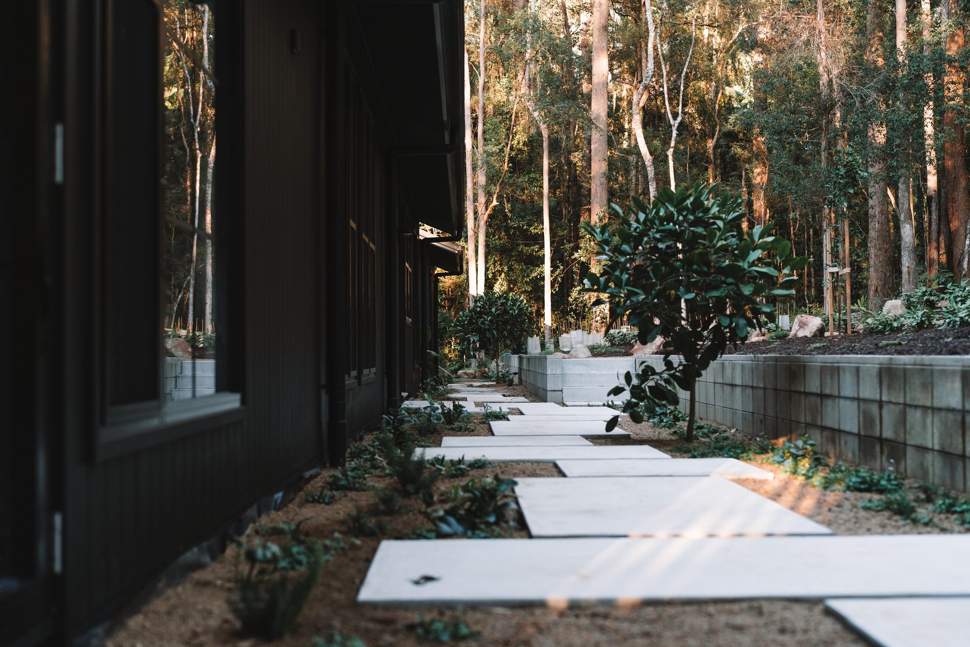 Concrete stepping stones running alongside a black clad home